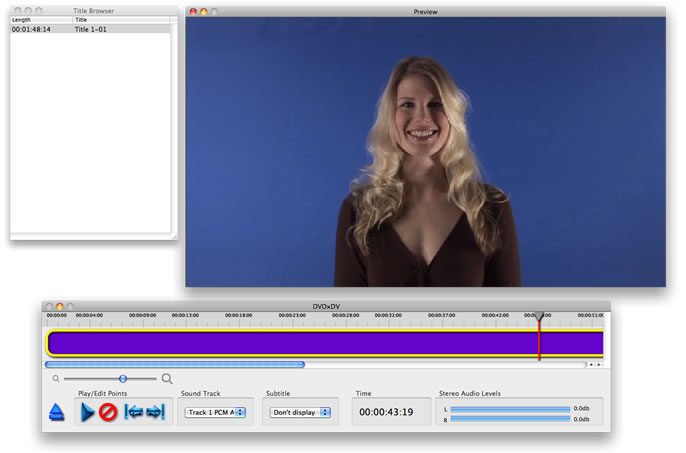DVDxDV Pro Screen Shot