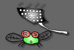 fly